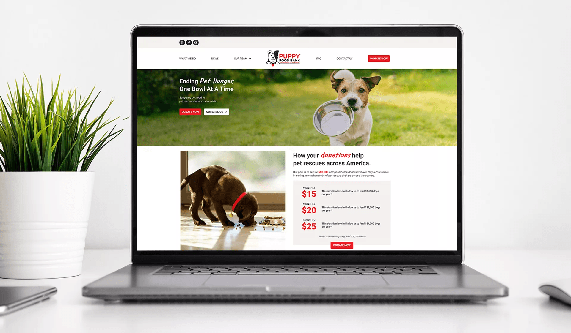 Puppy Food Bank Website – 2024