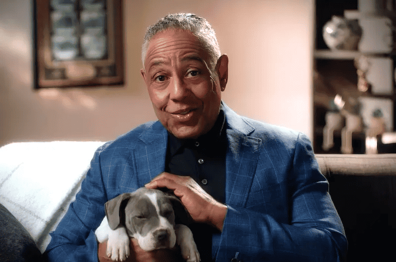 Television Advertising