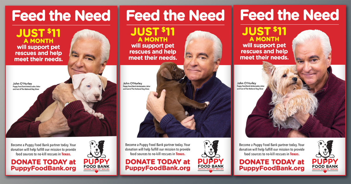 Agency Launches Puppy Food Bank The PM Group