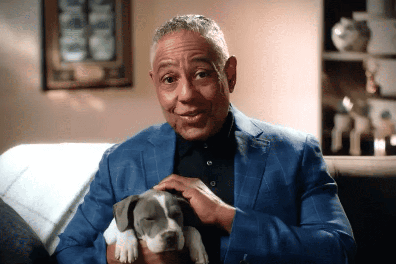 Television Advertising